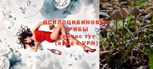 a pvp Алзамай