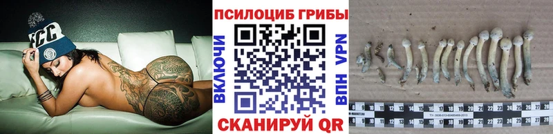 Псилоцибиновые грибы Magic Shrooms Шелехов