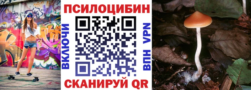 Псилоцибиновые грибы MAGIC MUSHROOMS  цена   Шелехов 